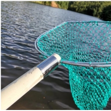 企普 大抄網(wǎng)